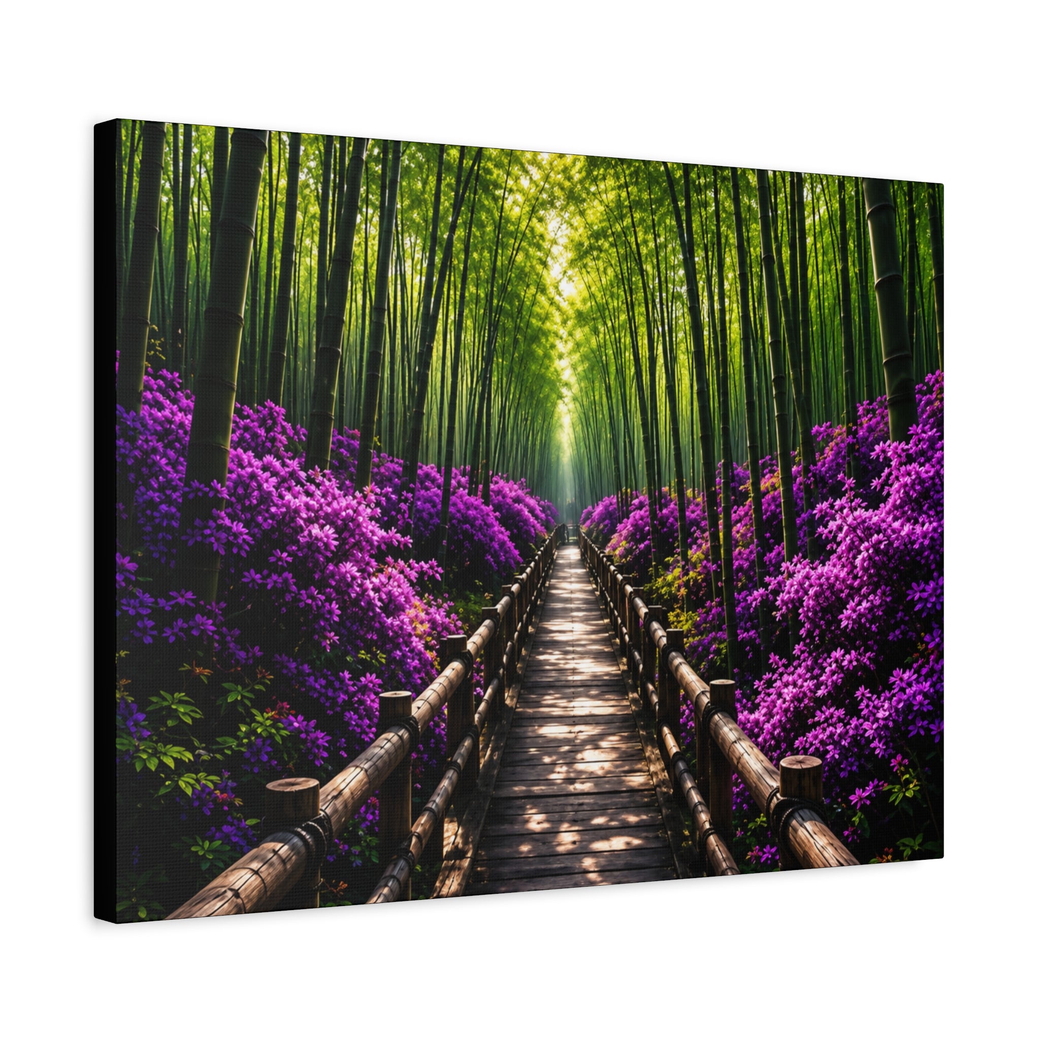 Path of Serenity