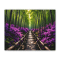 Path of Serenity