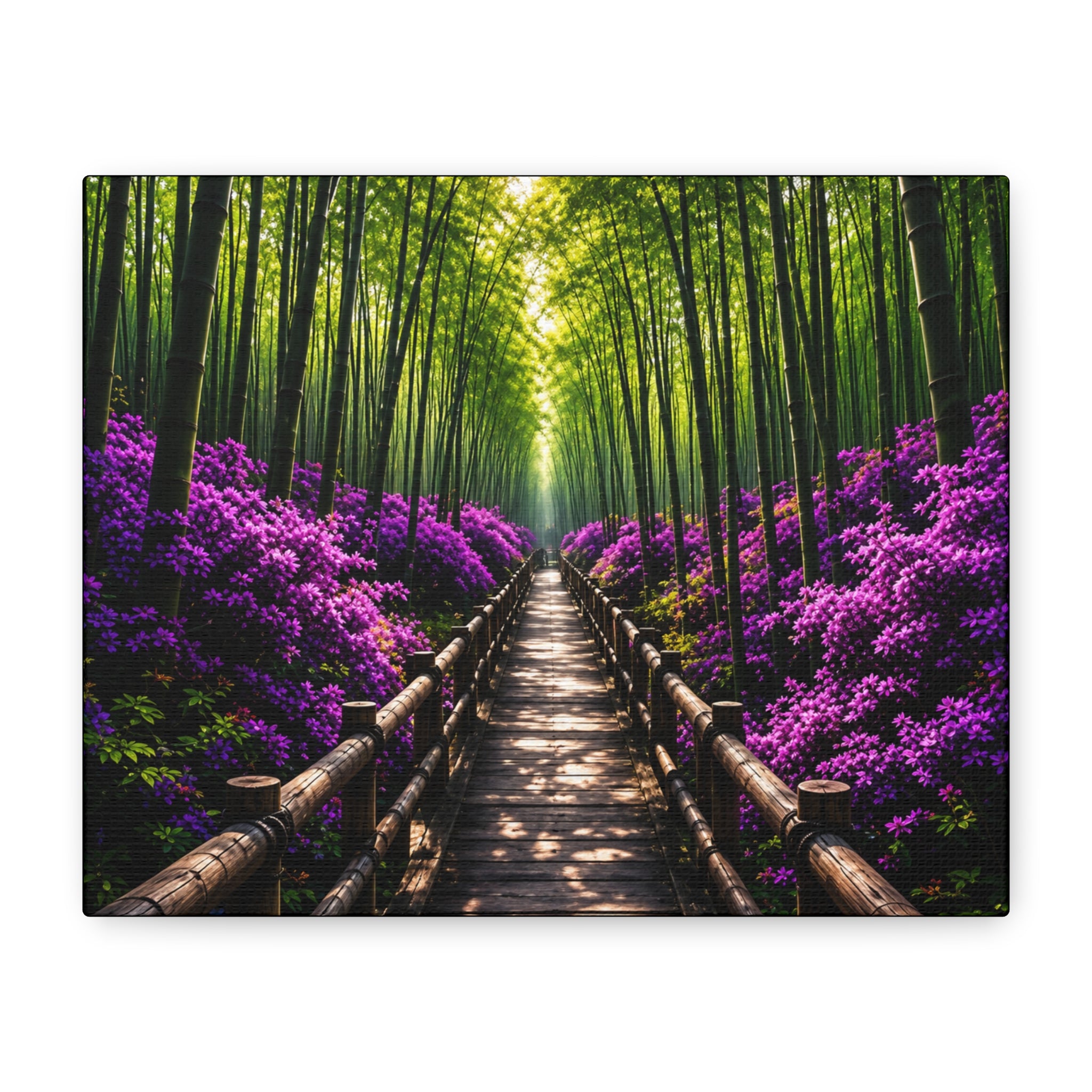Path of Serenity