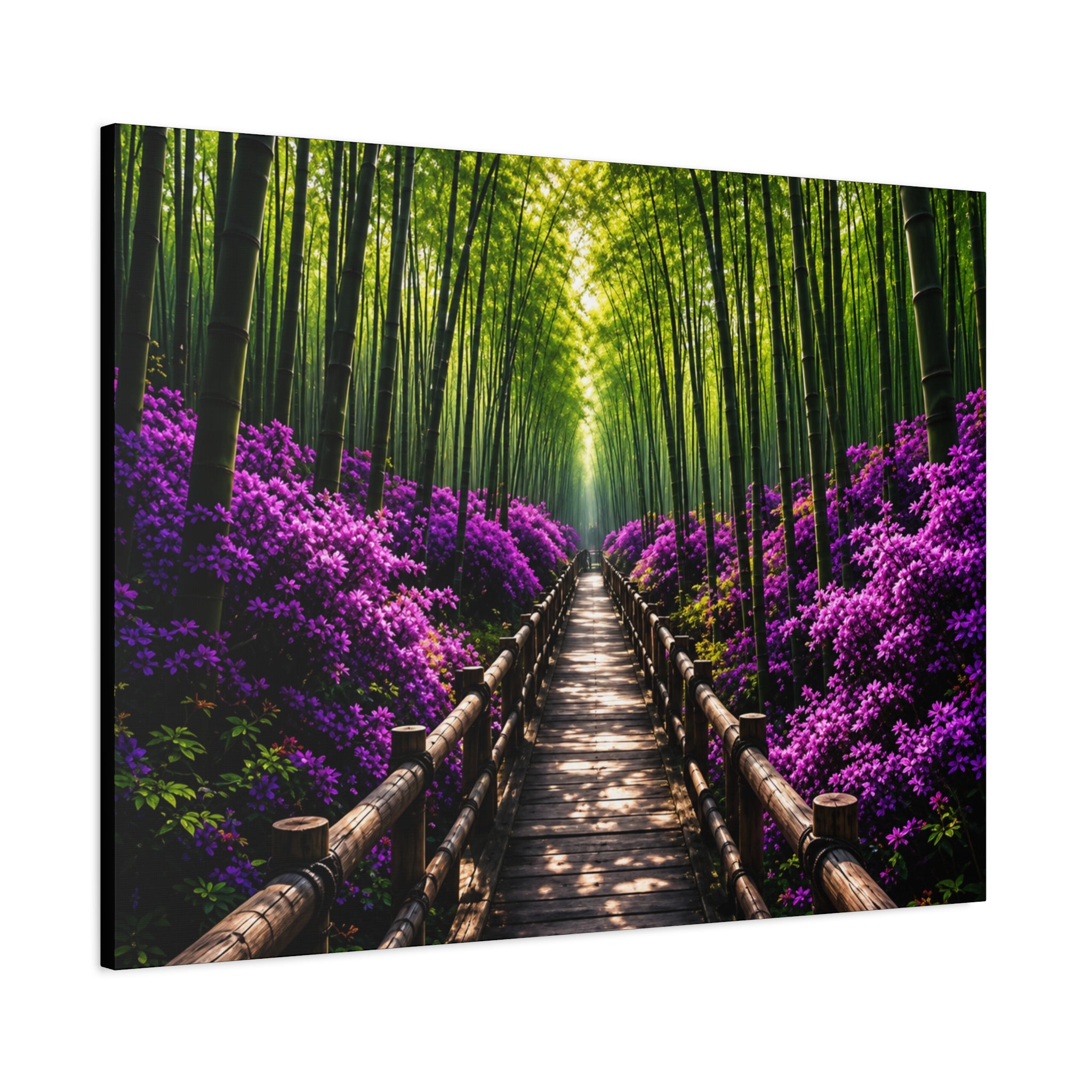 Path of Serenity